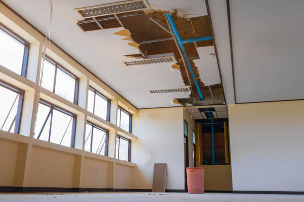 Best 24/7 water damage repair  in Wyoming, PA