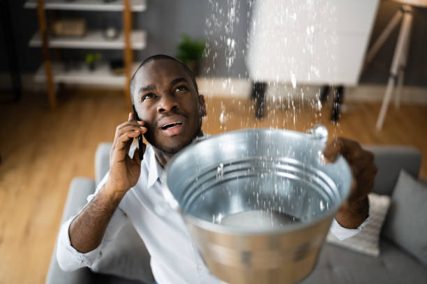 Best Mold removal after water damage  in Wyoming, PA
