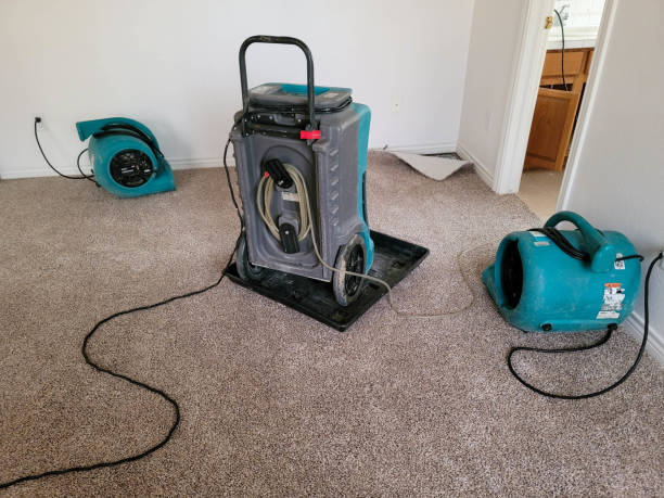 Professional Water damage restoration in Wyoming, PA