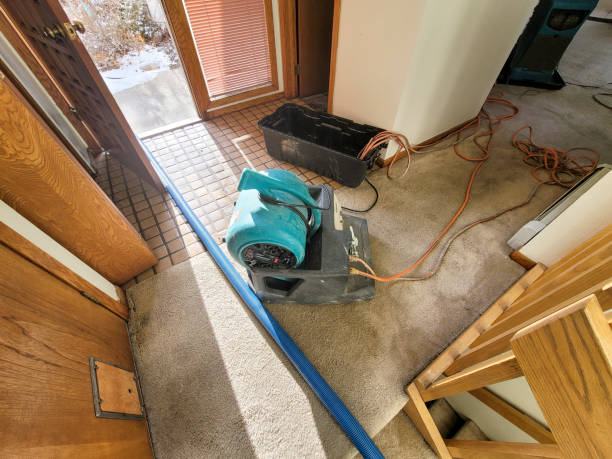 Best Ceiling water damage repair  in Wyoming, PA