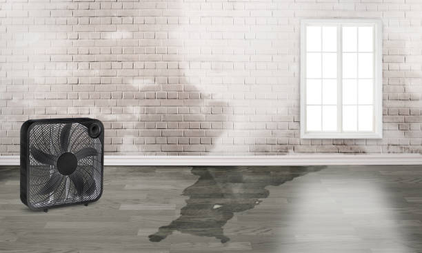 Local water damage restoration in Wyoming, PA