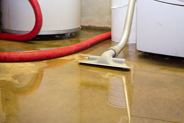 Best Professional water damage repair  in Wyoming, PA