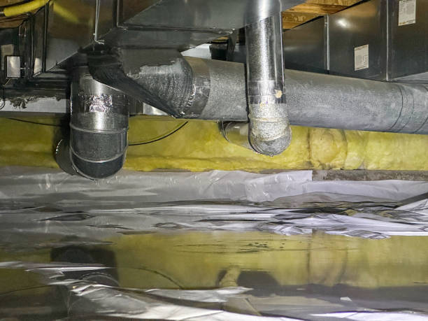 Best Mold removal after water damage  in Wyoming, PA