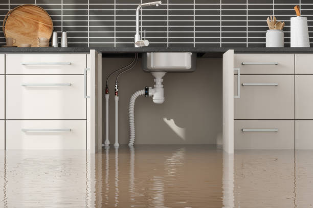 Best Water damage restoration near me  in Wyoming, PA