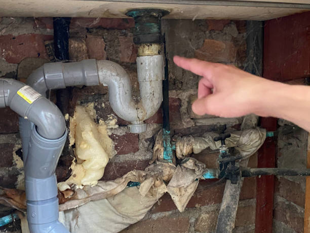 Best Carpet water damage restoration  in Wyoming, PA