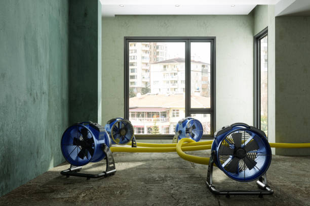 Best Water damage restoration cost  in Wyoming, PA