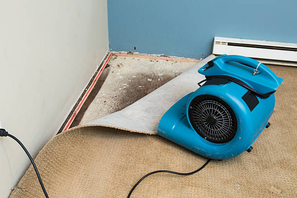 Best Carpet water damage restoration  in Wyoming, PA